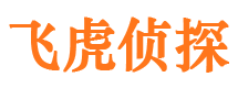 仙桃婚外情调查取证